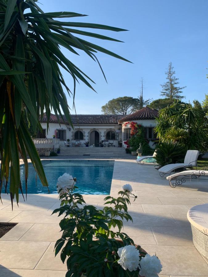 Carpe Diem Paradise Mougins Dış mekan fotoğraf